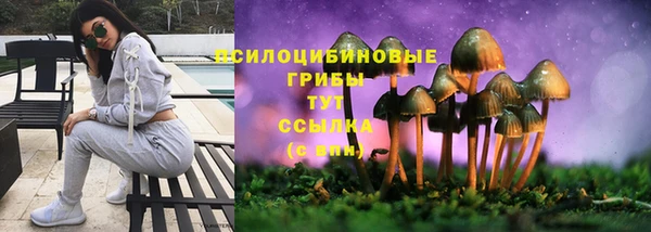 каннабис Михайловка