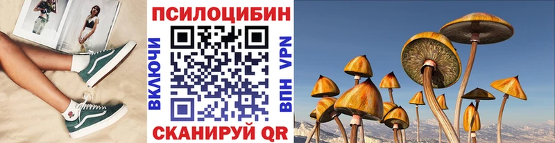 shop наркотические препараты  МЕГА ссылки  Урус-Мартан  что такое наркотик  Псилоцибиновые грибы ЛСД 